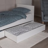 gud-lakk/bp-00000216-78793ff62daa