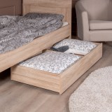 gud-lakk/bp-00000217-a6059ff5b2d8