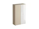 item-0b5ef76dcc/331641-716059207dbc