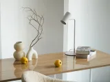 item-0b5ef76dcc/332034-f552915e84d0