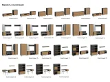 item-0b5ef76dcc/846115-78c424253f1d