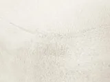item-0b5ef76dcc/850192-499de7a9d897