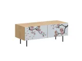 item-0b5ef76dcc/855092-d3b1e7edce0e