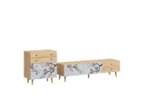 item-0b5ef76dcc/855328-7adf39d02791