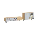 item-0b5ef76dcc/855337-801db9fe5390