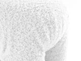 item-0b5ef76dcc/939856-6df212c99378