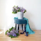 ogogo-obstanovocka/463551-249b64d1c5d8