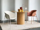 ogogo-obstanovocka/966367-48b1314a08d6